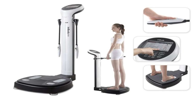 Gym With Body Composition Analysis (Complete Information)