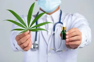 medical cannabis physician